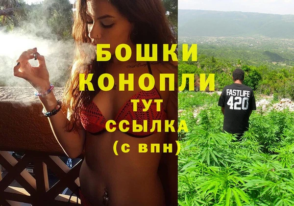 шишки Зеленокумск