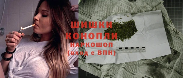 гидра Зеленодольск