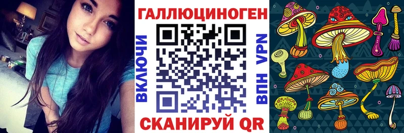 Купить закладки  Мезень  Псилоцибиновые грибы MAGIC MUSHROOMS 